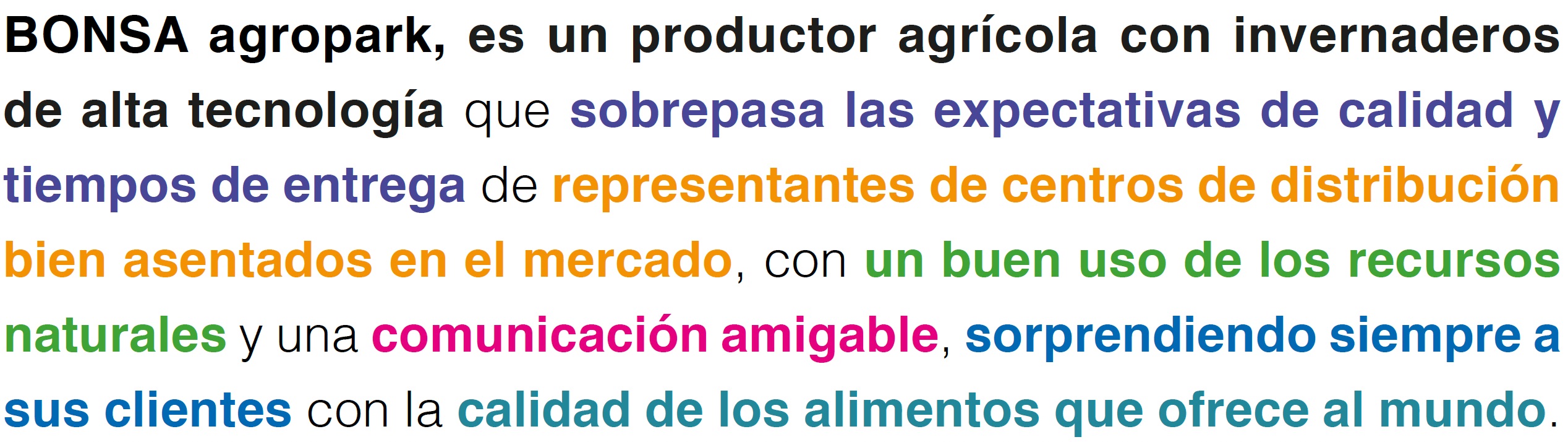 Concepto de marca Bonsa